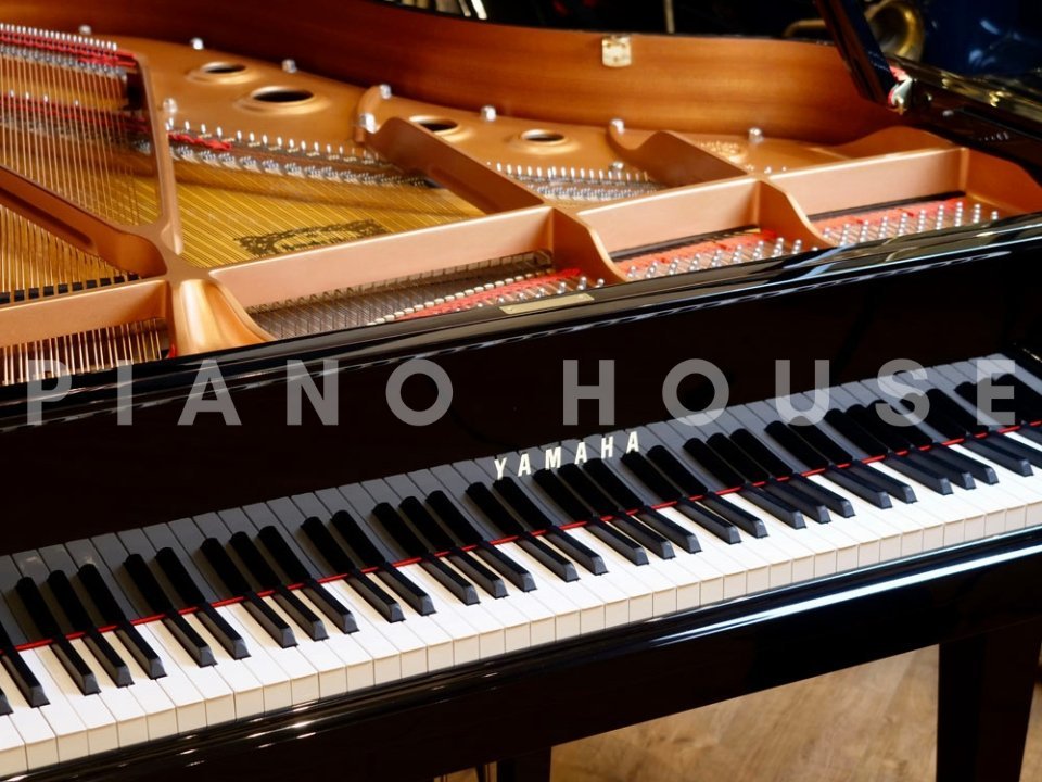 YAMAHA C3L - Góc nhìn thực tế 6